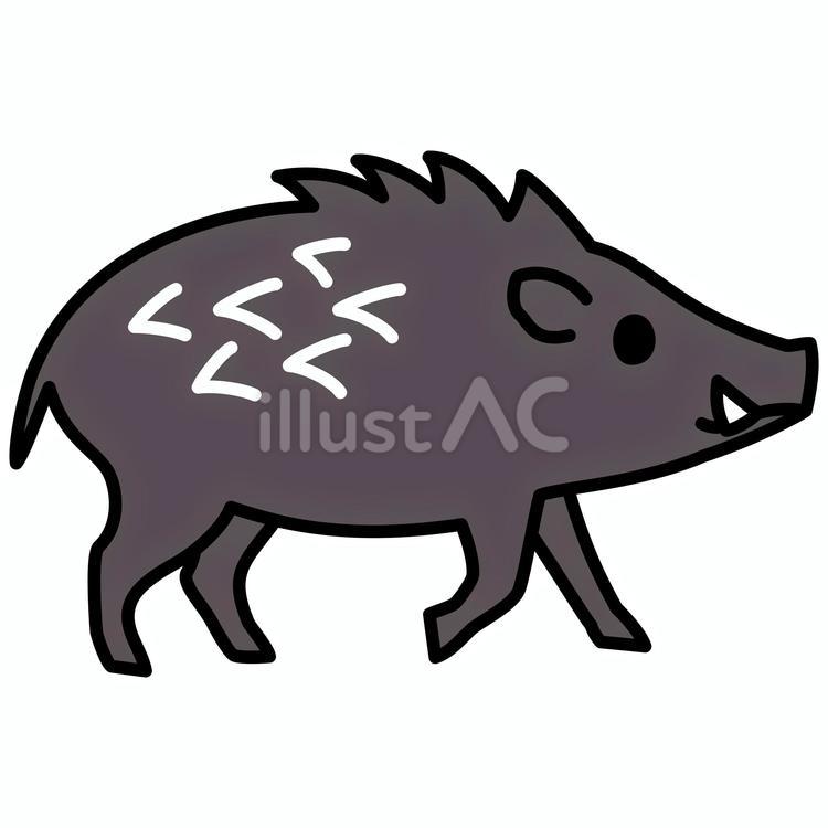 イノシシ　白黒 猪,白黒,動物のイラスト素材