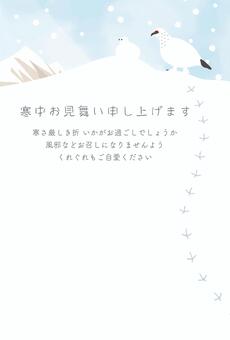 寒中お見舞い 時節の挨拶文-雷鳥- 寒中お見舞い,挨拶状,ポストカード,ハガキ,冬,季節,雷鳥,鳥,雪山,山のイラスト素材