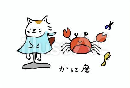 星座 蟹座 猫