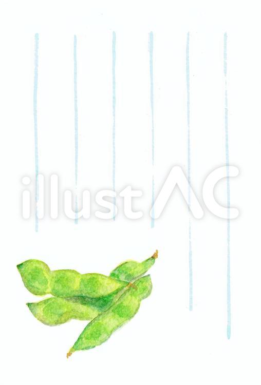 季節のはがき【夏・枝豆・罫あり】 枝豆,夏,はがきのイラスト素材