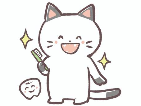 歯磨き終わった猫 歯ブラシ,歯磨き,猫,キレイ,歯,歯医者,動物,生き物,かわいい,哺乳類のイラスト素材