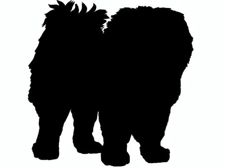 チャウ・チャウ　シルエット チャウチャウ,大型犬,中国,長毛種,犬,シルエット,影絵,影,黒,デザインのイラスト素材