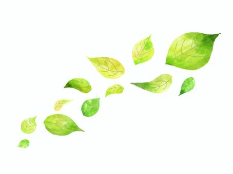 風で舞う葉っぱ　初夏　水彩イラストセット 葉っぱ,葉,緑,爽やか,流れ,風,素朴,新緑,背景,イメージのイラスト素材