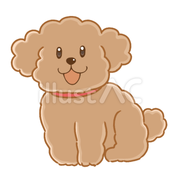 おすわりトイプードル　茶 ペット,犬,トイプードルのイラスト素材