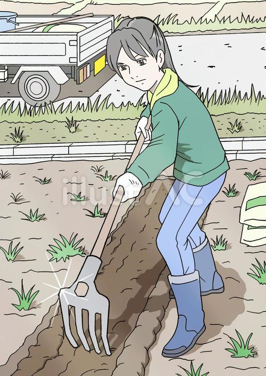畑を耕す女性 畑,女性,耕すのイラスト素材