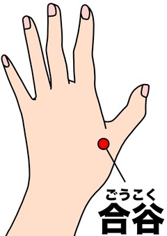 合谷の場所 手,合谷,ツボ,名称,カラーのイラスト素材