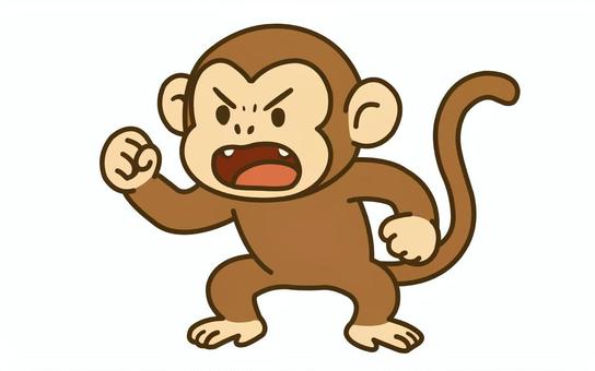 怒るサル サル,怒る,威嚇,野生,茶色のイラスト素材