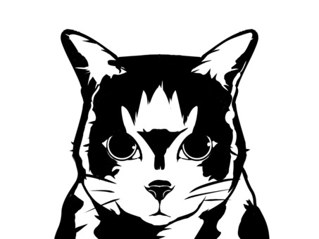 モノクロ猫の顔