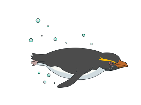 キマユペンギン（泳ぐ） キマユペンギン,フィヨルドランドペンギン,ヴィクトリアペンギン,ペンギン,ニュージーランド,泳ぐのイラスト素材