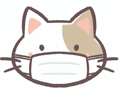 風邪か花粉症でマスクをする動物の猫 風邪か花粉症でマスクをする動物の猫 マスク,花粉症,風邪,コロナ,インフルエンザ,病気,病院,内科,耳鼻科,小児科のイラスト素材