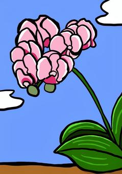 ラン ラン,花,植物のイラスト素材