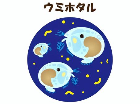 Illustration, cypridina, crustacean, creatures, 