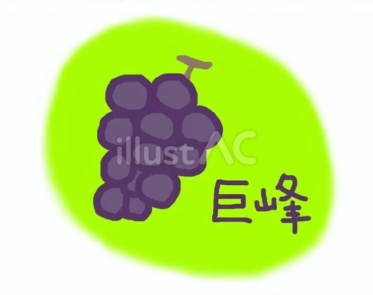 巨峰 巨峰,ぶどう,房のイラスト素材