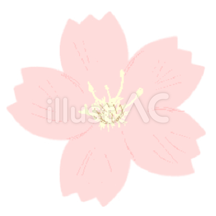 桜の花 桜の花のイラスト素材