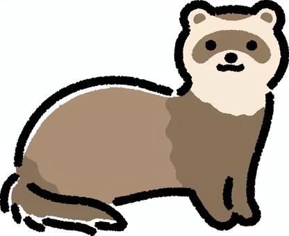 フェレット フェレット,動物,小動物,ペット,シンプル,デフォルメ,生き物,生物のイラスト素材