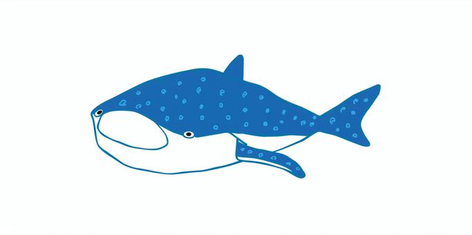 whale shark, whale shark, ikan, segara, akuarium,