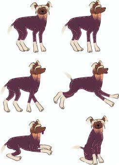 Illustration, JPG, PNG and AI Illustration, chinese crested dog, dog, small dog, JPG, PNG and AI