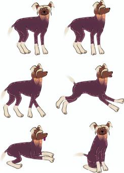 Illustration, chinese crested dog, dog, small dog, JPG, PNG and AI