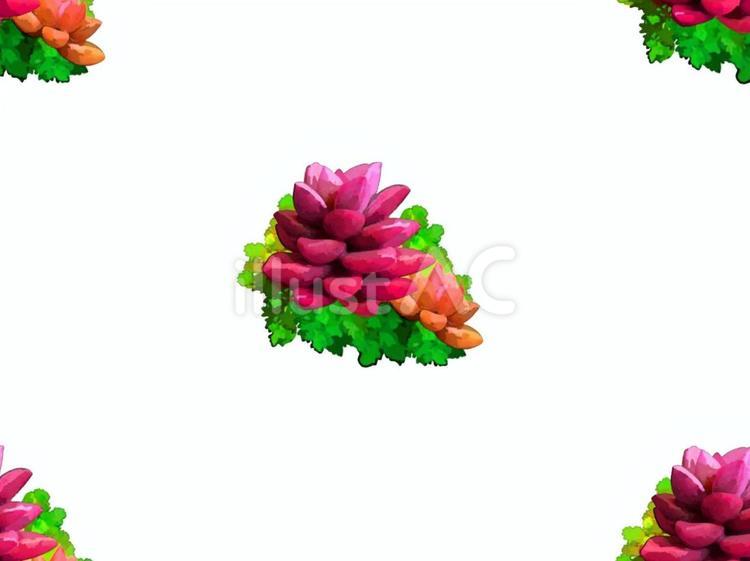 ペパクラ風　多肉　シームレス　カラフル 多肉植物,マンネングサ,常緑のイラスト素材