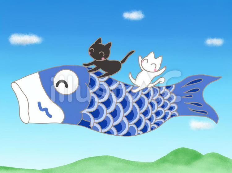 こいのぼりさんと空を飛ぶ仲良しにゃんこ 猫,かわいい,鯉のぼりのイラスト素材