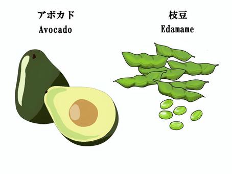 アボカド　枝豆 アボカド,枝豆,さや,断面,たね,野菜,ベジタブル,えだまめ,豆,丸ごとのイラスト素材