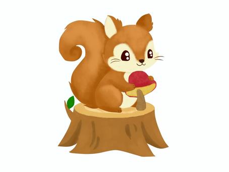 リス2025 3 リス,切り株,きのこ,秋,りす,動物,小動物,生き物,生物,かわいいのイラスト素材