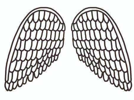 wing, , JPG and PNG