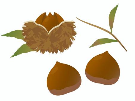 Chestnut illustration set, , JPG, PNG and AI