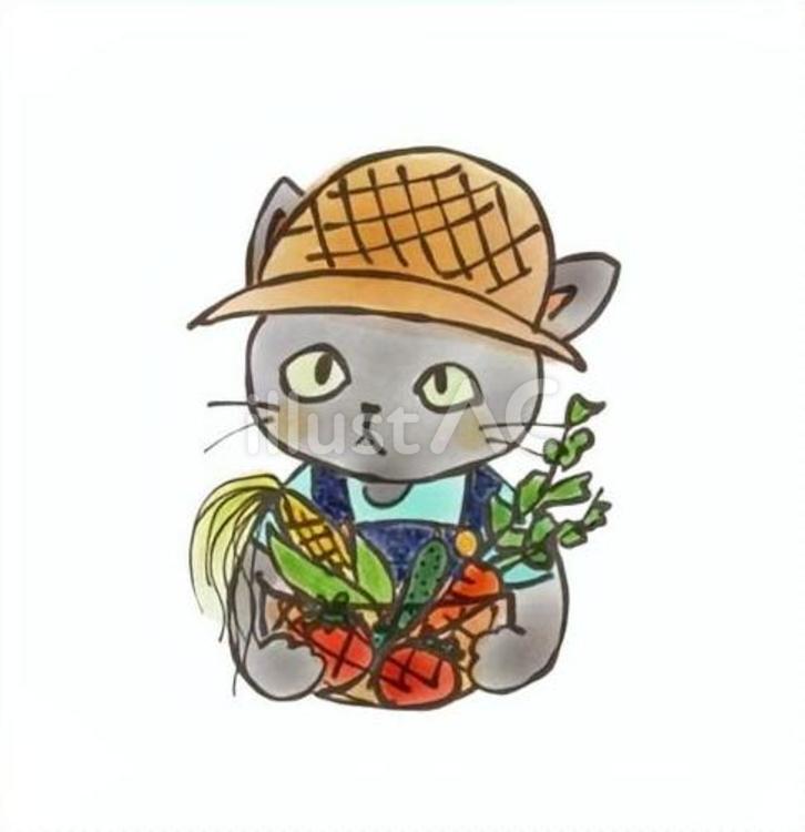 黒ねこ（野菜） 黒猫,猫,手描きのイラスト素材