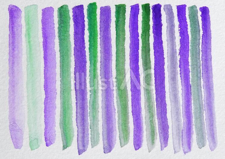 緑と紫の水彩絵具の線 水彩,絵具,線のイラスト素材