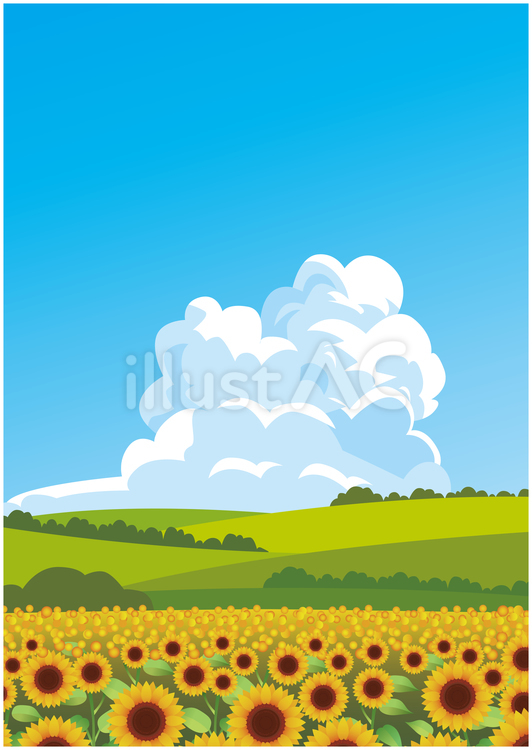夏のひまわり畑 夏,夏季,ひまわりのイラスト素材