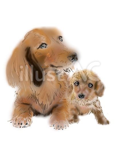 犬の親子 イラスト