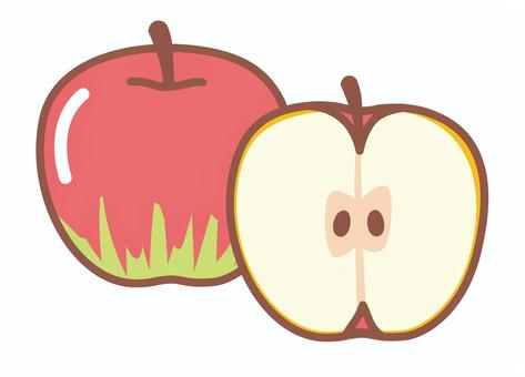 りんご一個と半分 りんご一個と半分 りんご,一個,半分,断面,種,丸ごと,カット,果物のイラスト素材