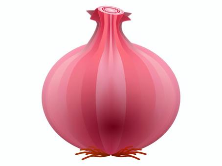 タマネギ02（赤） タマネギ,野菜,赤色,葉茎菜類,オニオンスープのイラスト素材