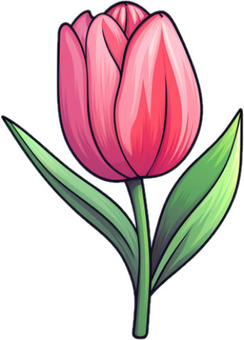 Illustration, tulip, flower, plant, 