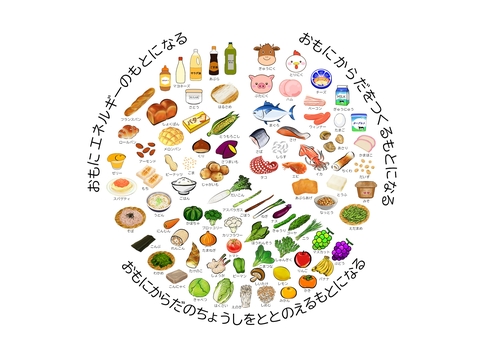 栄養　円グラフ　文字入り③ 栄養,給食,食品,円グラフ,小学校,中学校,たんぱく質,脂質,炭水化物,ビタミンのイラスト素材