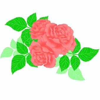 Decorative flower (Rose 3, , JPG and PNG