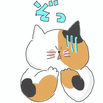 ゾッとする三毛猫ちゃん 三毛猫,かわいい,ゾッ,怖い,恐怖,恐ろしい,怯える,ねこ,動物,いきもののイラスト素材