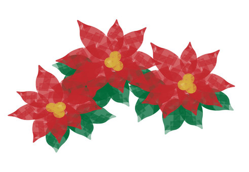 Illustration, christmas, poinsettia, translucent, 