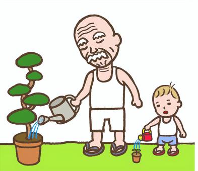 じいじと一緒に水やり おじいちゃん,じいじ,祖父,おじい,こども,幼児,乳幼児,孫,植木,盆栽のイラスト素材