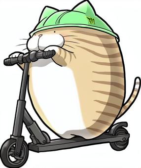 Cat on an electric kickboard, , JPG and PNG