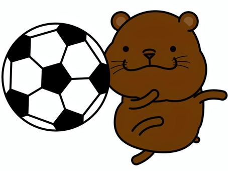 Mr. bear soccer, piłka nożna, niedźwiedź brunatny, niedźwiedź, JPG, PNG and EPS