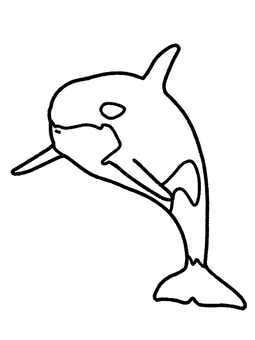 シャチ シャチ シャチ,海,水族館,哺乳類,生き物,塗り絵のイラスト素材