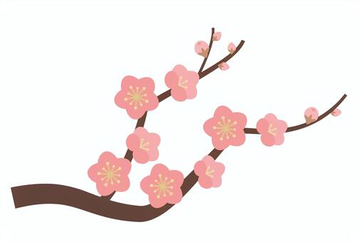 花数多めの梅の花枝_ピンク 梅,梅の花,紅梅,花,蕾,つぼみ,枝,ピンク,桃色,迎春のイラスト素材