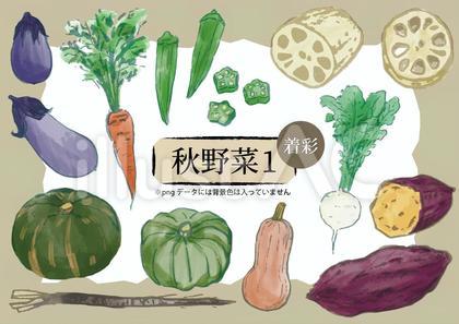 秋野菜カラー1