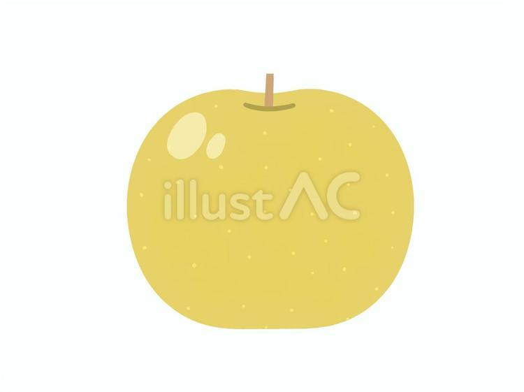 主線なし　梨のイラスト 梨,食べ物,果物のイラスト素材