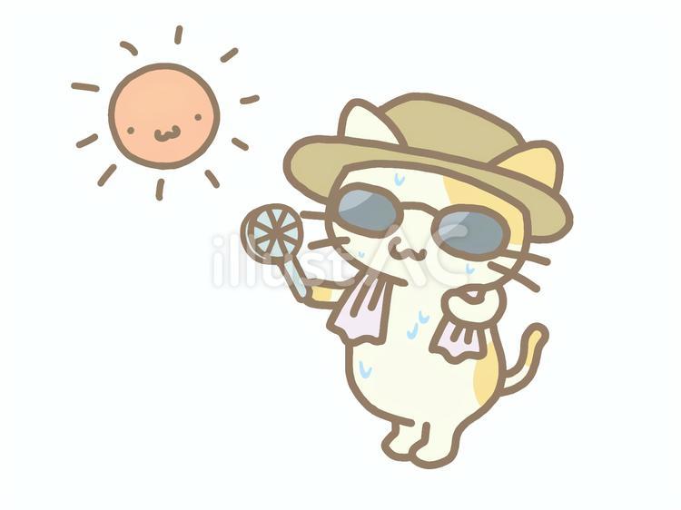 猫さんの暑さ対策 猫,熱中症対策,真夏のイラスト素材
