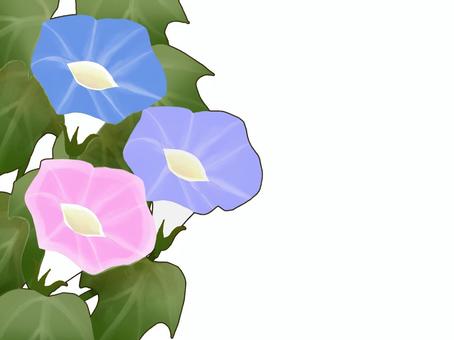 Pastel colored morning glory transparent frame, , JPG and PNG