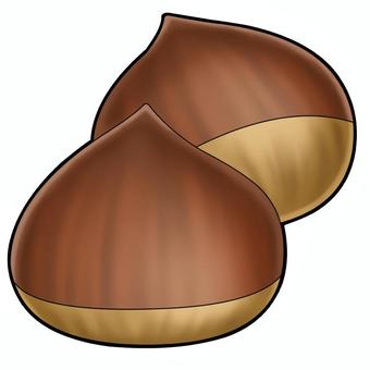 chestnut, , JPG and PNG