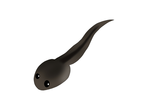 Illustration, tadpoles, a frog, amphibian, 